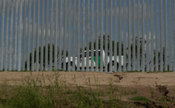 Legisladores de EE.UU. piden suspender expulsiones en frontera